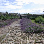 Berry House