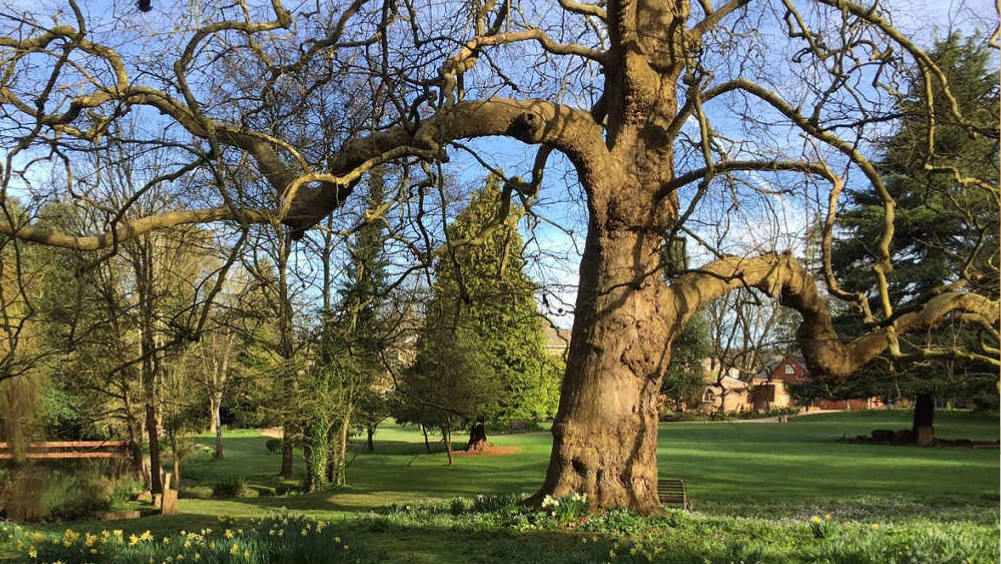 The gardens at Tone Dale House are delightful for country house weddings