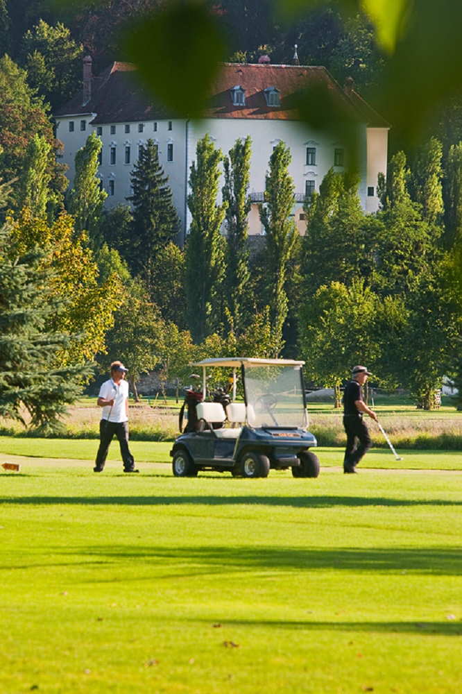 salzburg big and beautiful singles The city is firmly established as one of the most beautiful classic salzburg which means—shh—the city often feels livelier and more vibrant than big . salzburg big and beautiful singles The city is firmly established as one of the most beautiful classic salzburg which means—shh—the city often feels livelier and more vibrant than big .