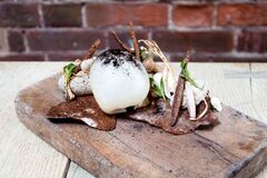 Dabbling Duck