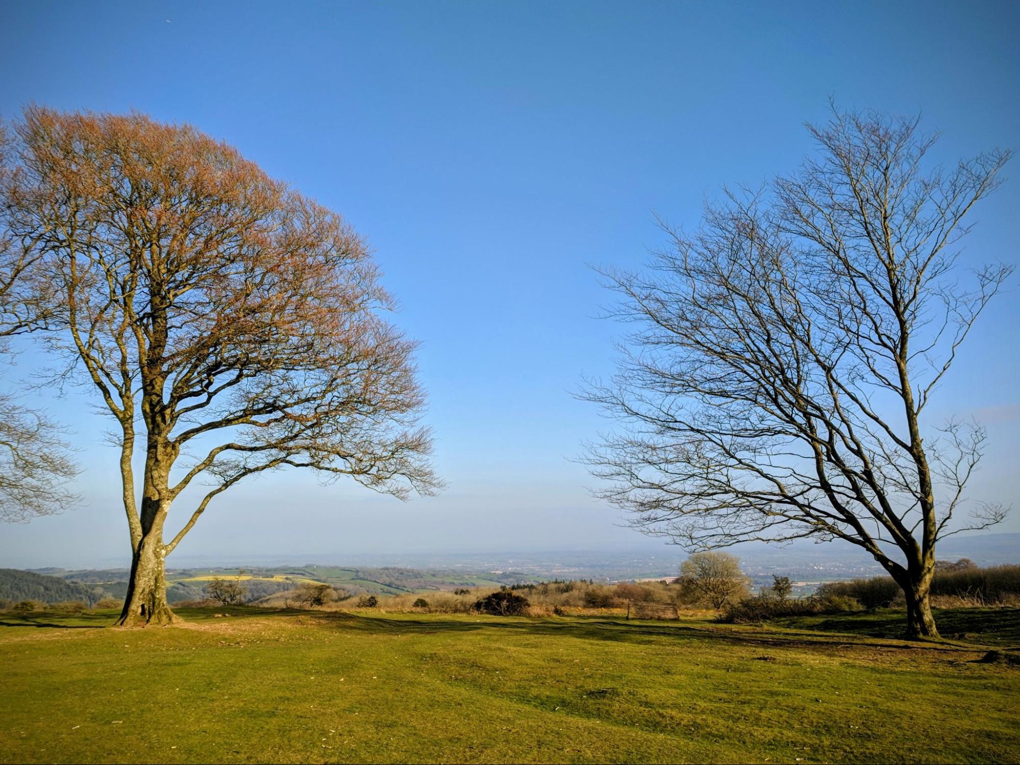 Quantock Hills