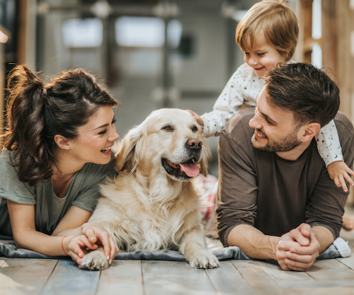 The Big House Co Big family weekend away with dogs A young family, lying on a wooden floor in a big house with a dog in the middle. The woman is holding the dogs paw and the child is stroking the dog's head.